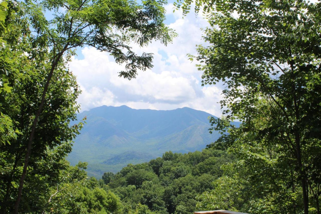 Hummingbird Villa Gatlinburg Luaran gambar